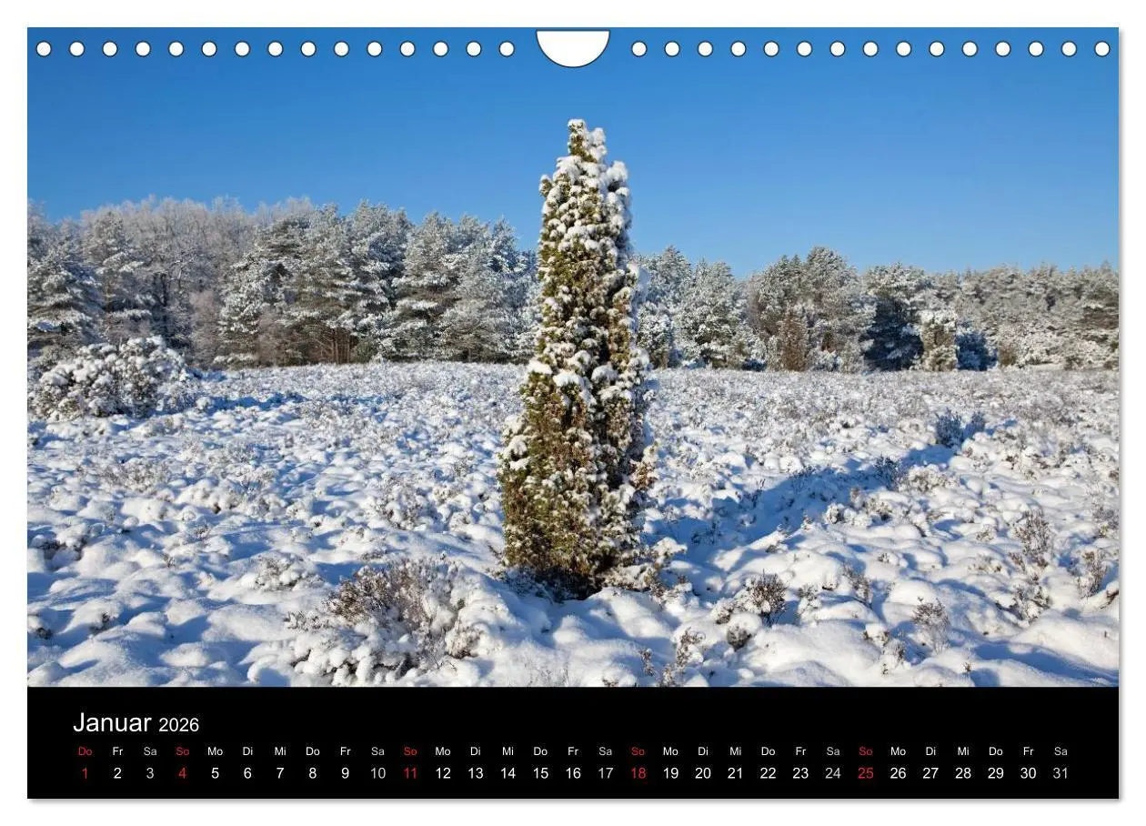 Bild: 9783516185614 | Hansestadt Lüneburg und Lüneburger Heide (Wandkalender 2026 DIN A4...