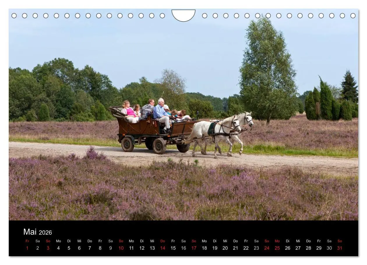 Bild: 9783516185614 | Hansestadt Lüneburg und Lüneburger Heide (Wandkalender 2026 DIN A4...