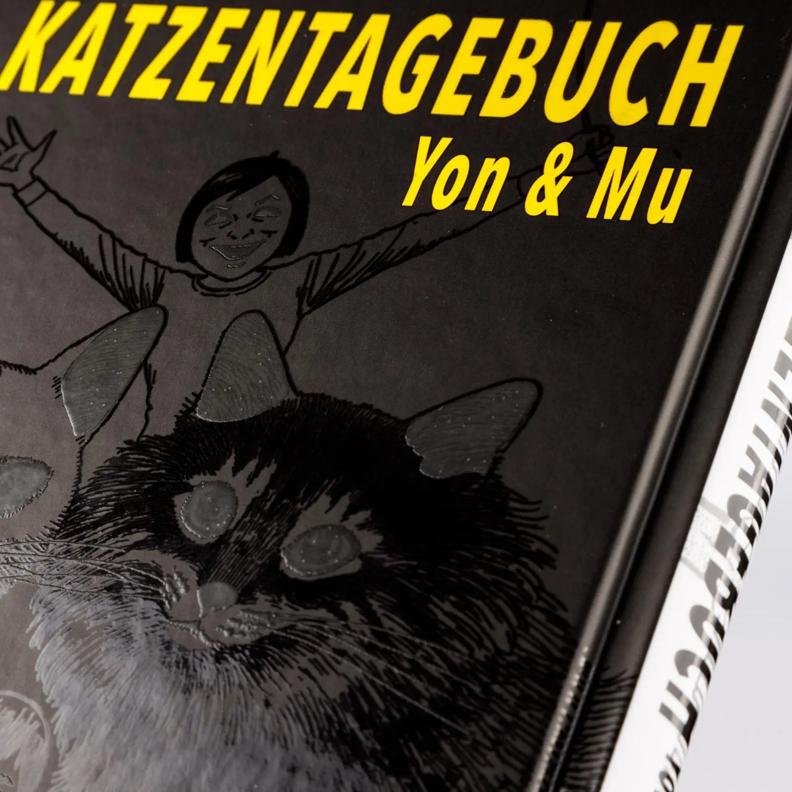 Bild: 9783551805614 | Junji Itos Katzentagebuch | Junji Ito | Buch | 130 S. | Deutsch | 2025