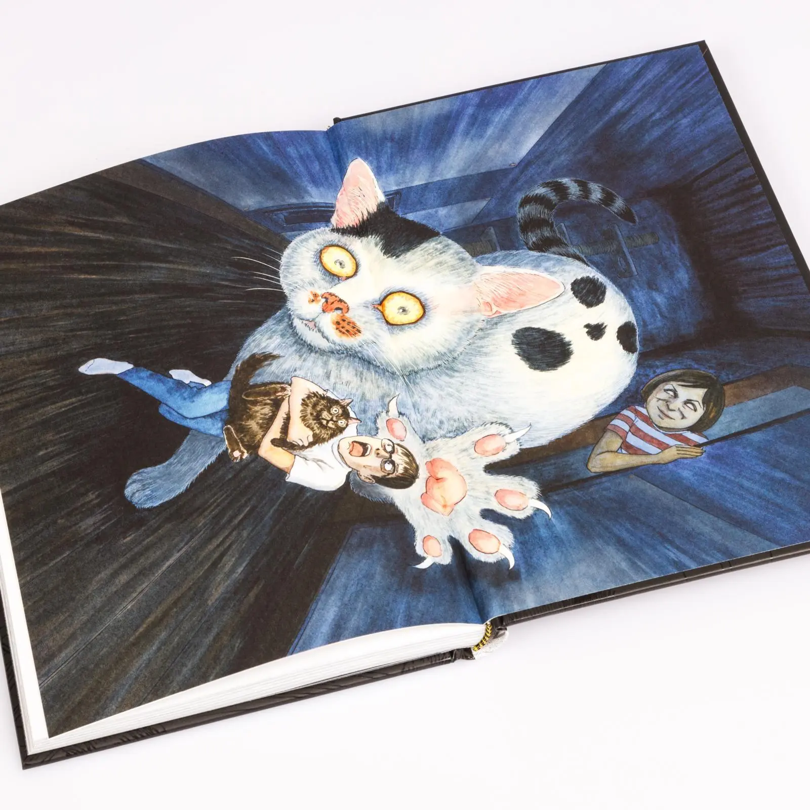 Bild: 9783551805614 | Junji Itos Katzentagebuch | Junji Ito | Buch | 130 S. | Deutsch | 2025