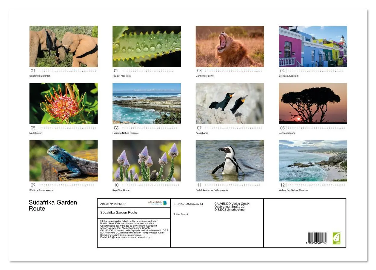 Bild: 9783516625714 | Südafrika Garden Route (Wandkalender 2026 DIN A2 quer), CALVENDO...