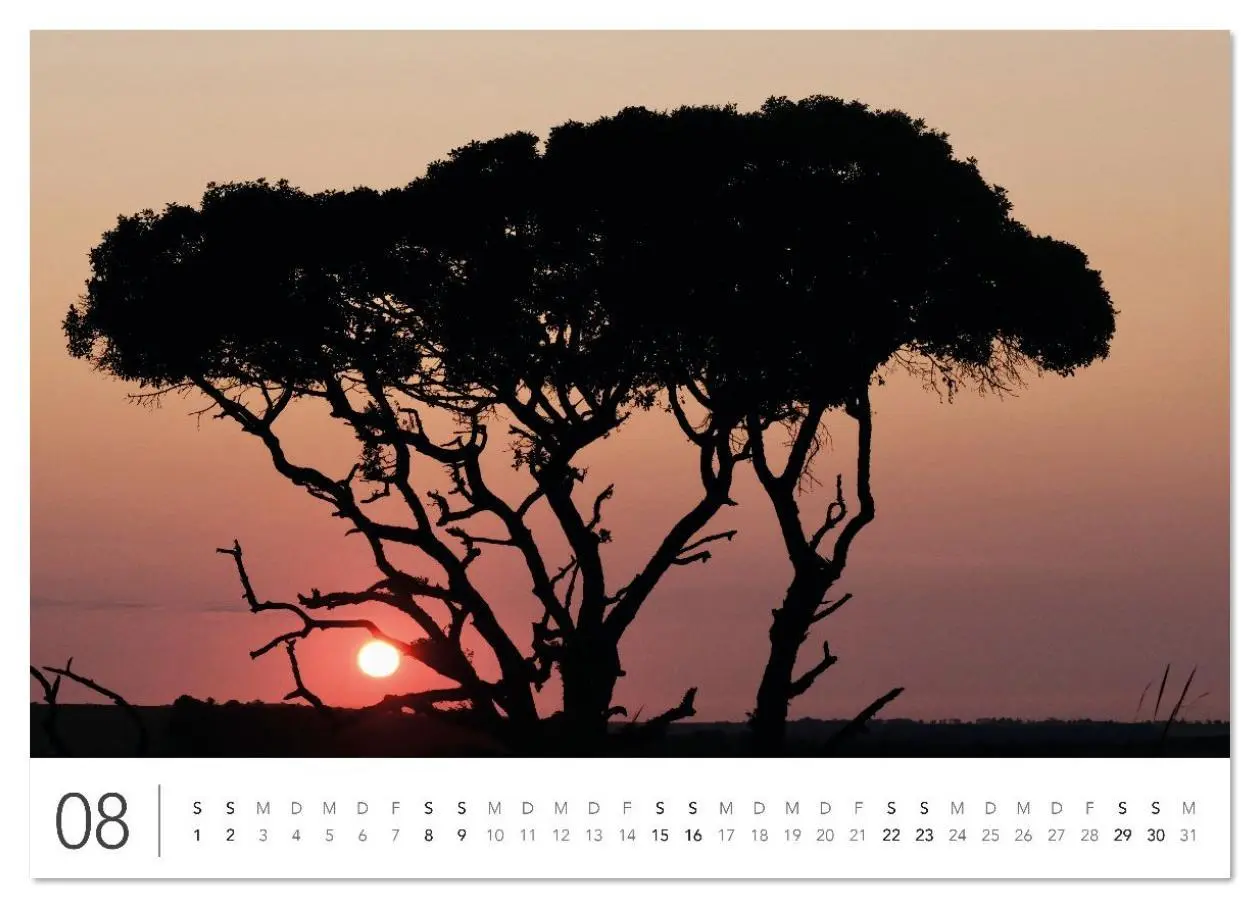 Bild: 9783516625714 | Südafrika Garden Route (Wandkalender 2026 DIN A2 quer), CALVENDO...