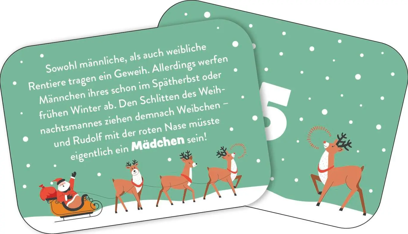 Bild: 4260308345814 | 24 x cooles Weihnachtswissen für Kinder | Klara Wiesel | Kalender