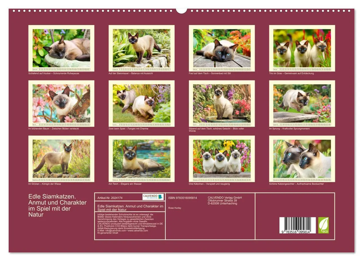 Bild: 9783516095814 | Edle Siamkatzen. Anmut und Charakter im Spiel mit der Natur...