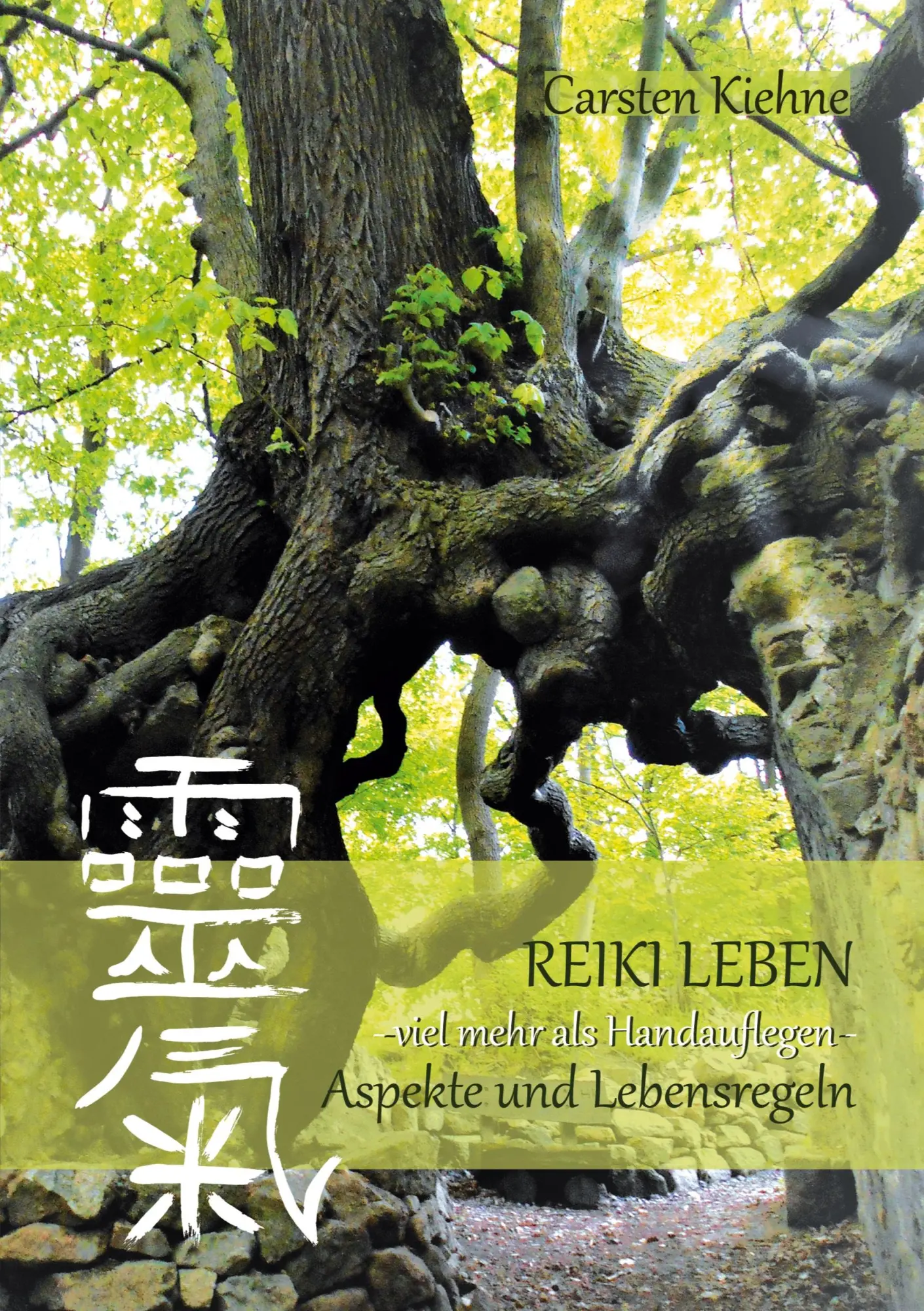 Cover: 9783769305814 | Reiki leben | Die Aspekte | Carsten Kiehne | Taschenbuch | 300 S.
