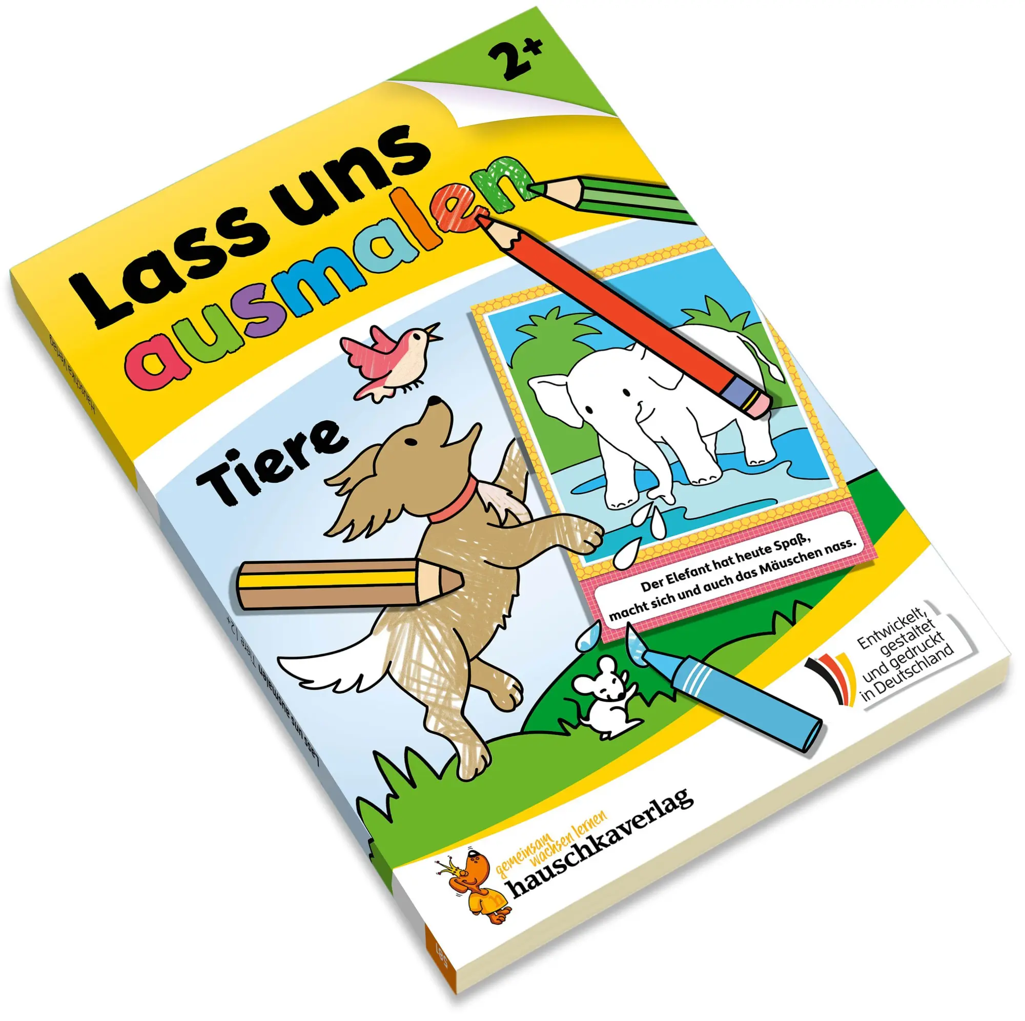 Bild: 9783881005814 | Lass uns ausmalen - Mein Ausmalbuch ab 2 - Tiere | Taschenbuch | 64 S.