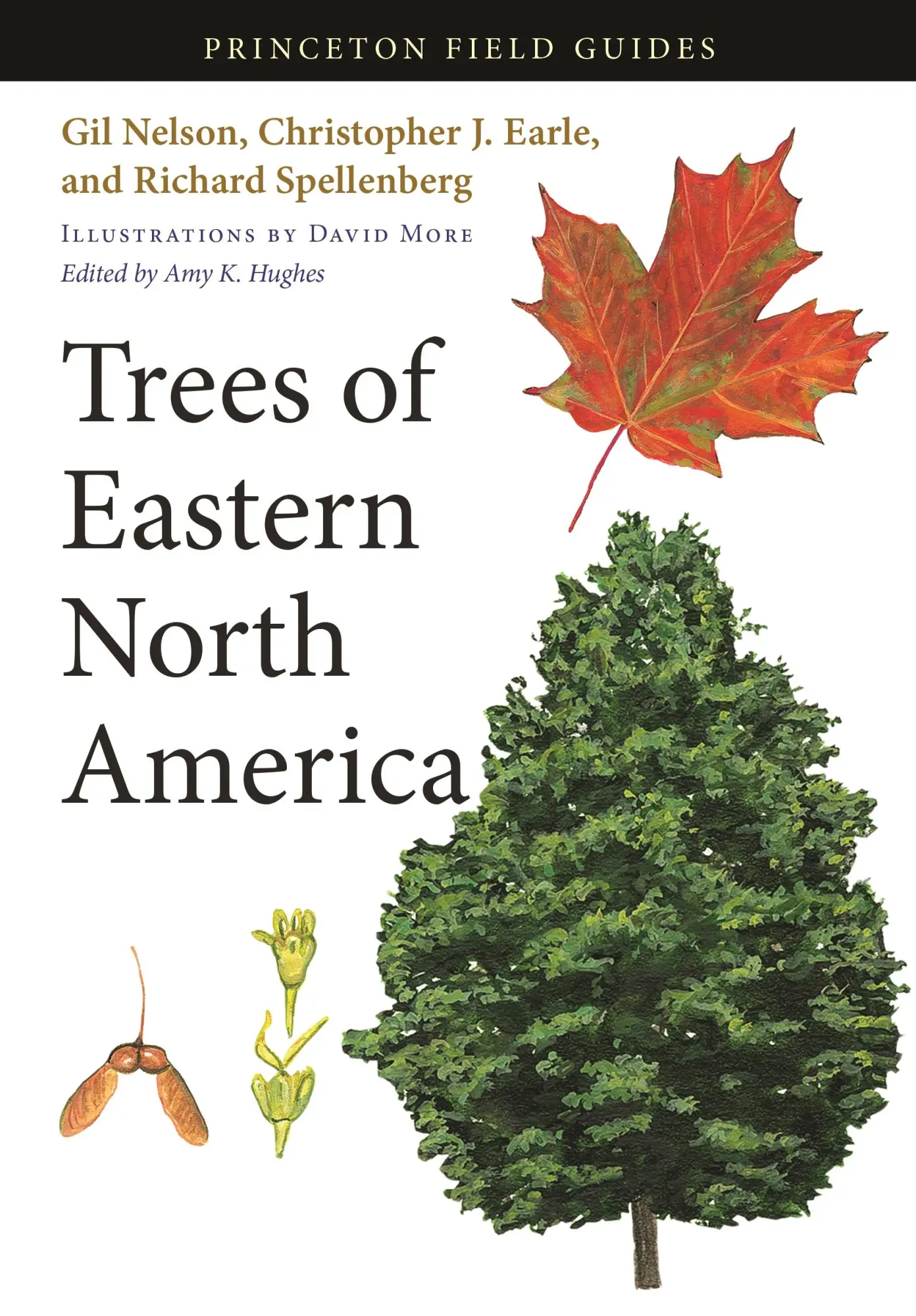 Cover: 9780691145914 | Trees of Eastern North America | Gil Nelson (u. a.) | Taschenbuch
