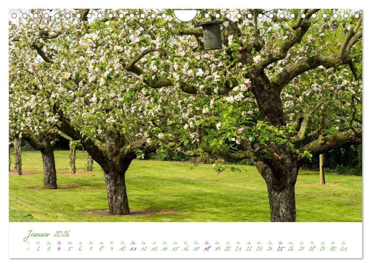 Bild: 9783457995914 | Kreislehrgarten in Steinfurt (Wandkalender 2026 DIN A4 quer),...