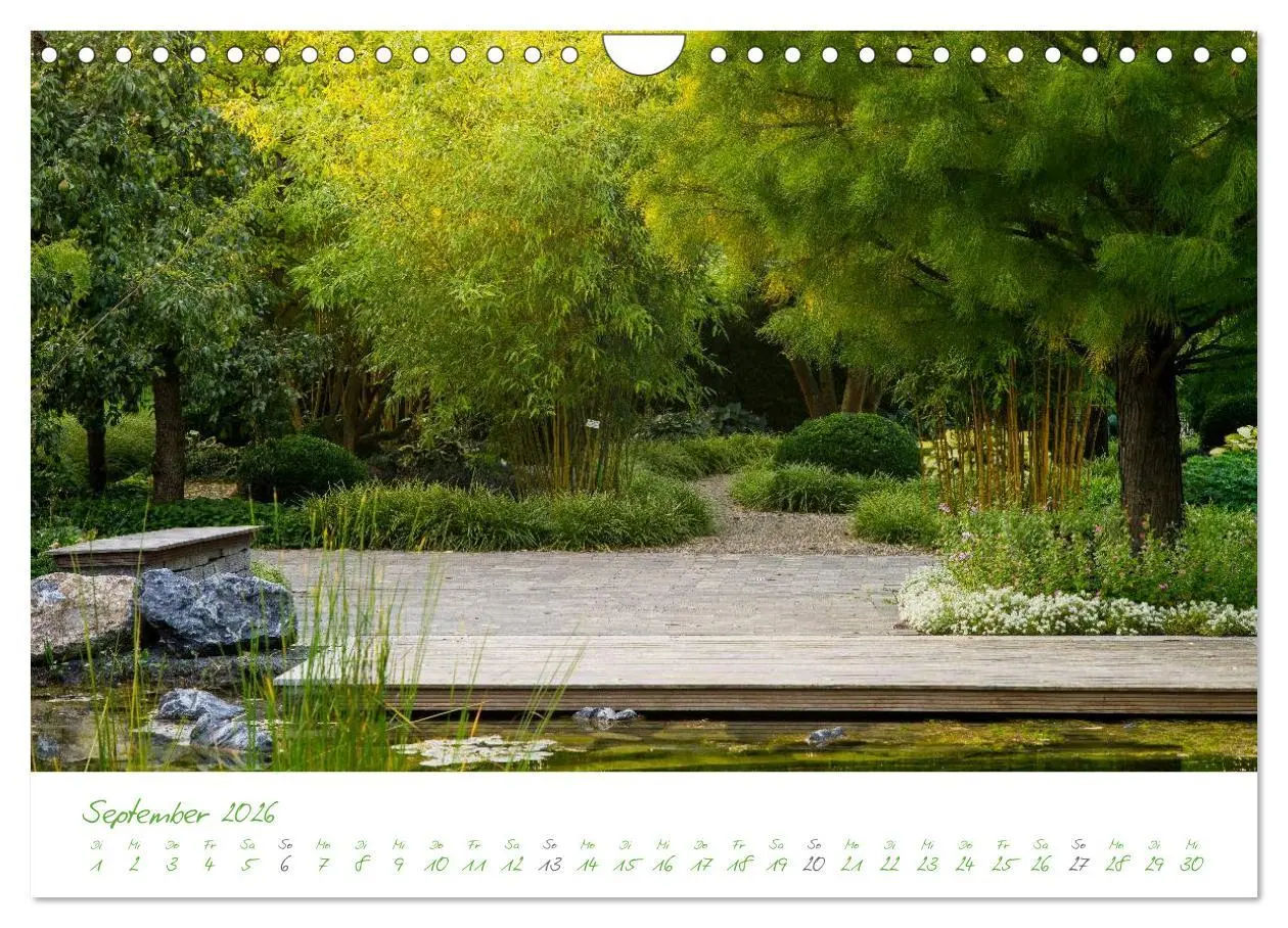 Bild: 9783457995914 | Kreislehrgarten in Steinfurt (Wandkalender 2026 DIN A4 quer),...