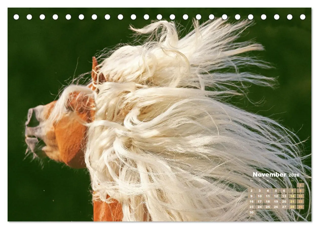 Bild: 9783457266014 | Haflinger: Die blonden Pferde von der Alm (Tischkalender 2026 DIN...