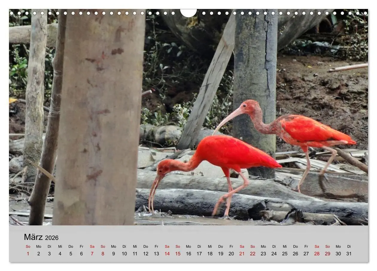 Bild: 9783516736014 | Venezuela - Natur pur Orinoco Delta und die Anden (Wandkalender...