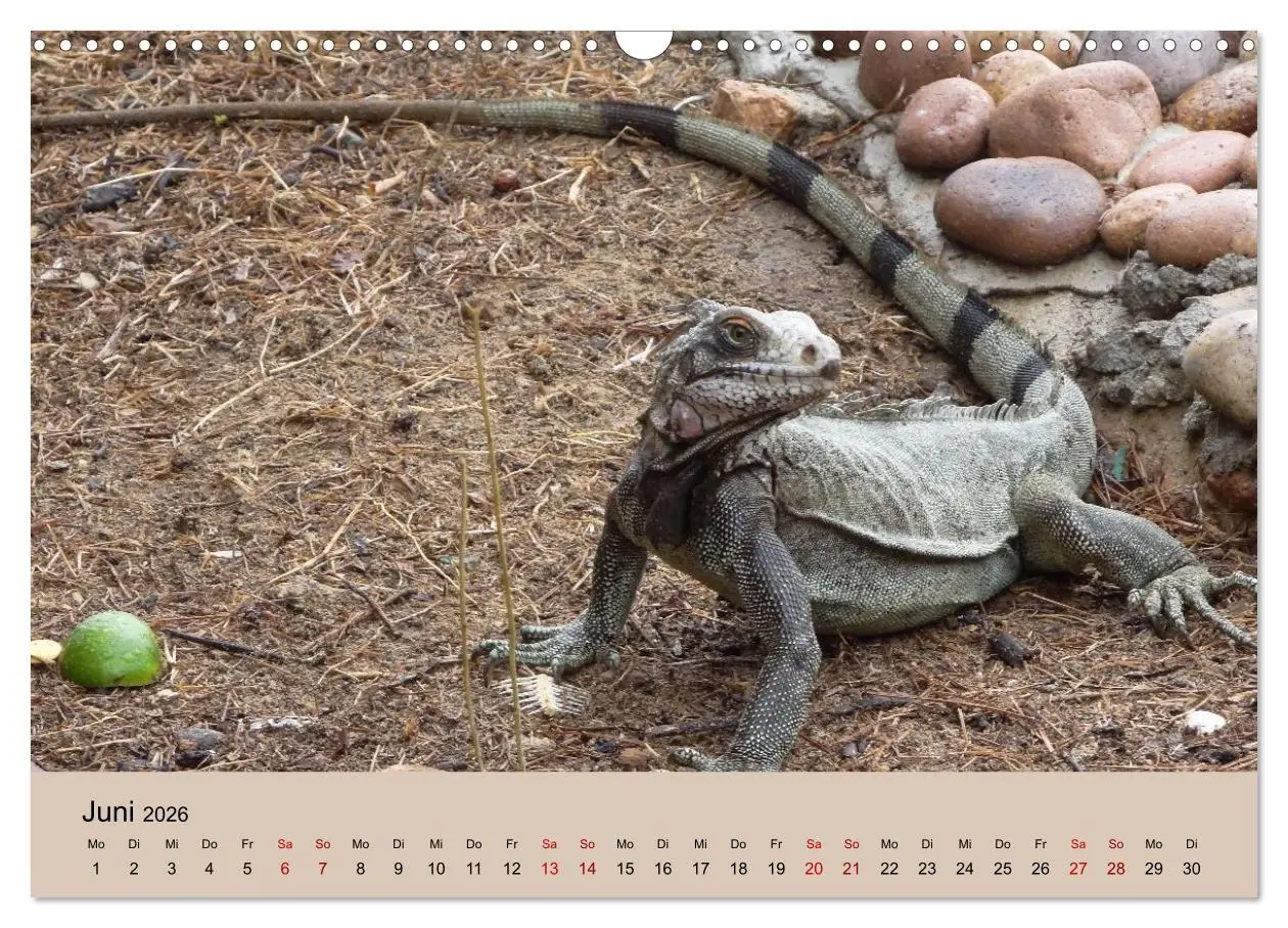 Bild: 9783516736014 | Venezuela - Natur pur Orinoco Delta und die Anden (Wandkalender...