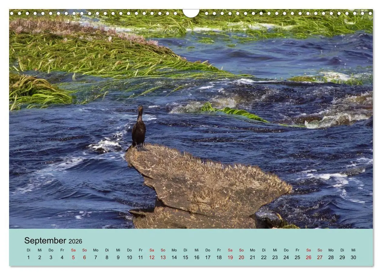 Bild: 9783516736014 | Venezuela - Natur pur Orinoco Delta und die Anden (Wandkalender...