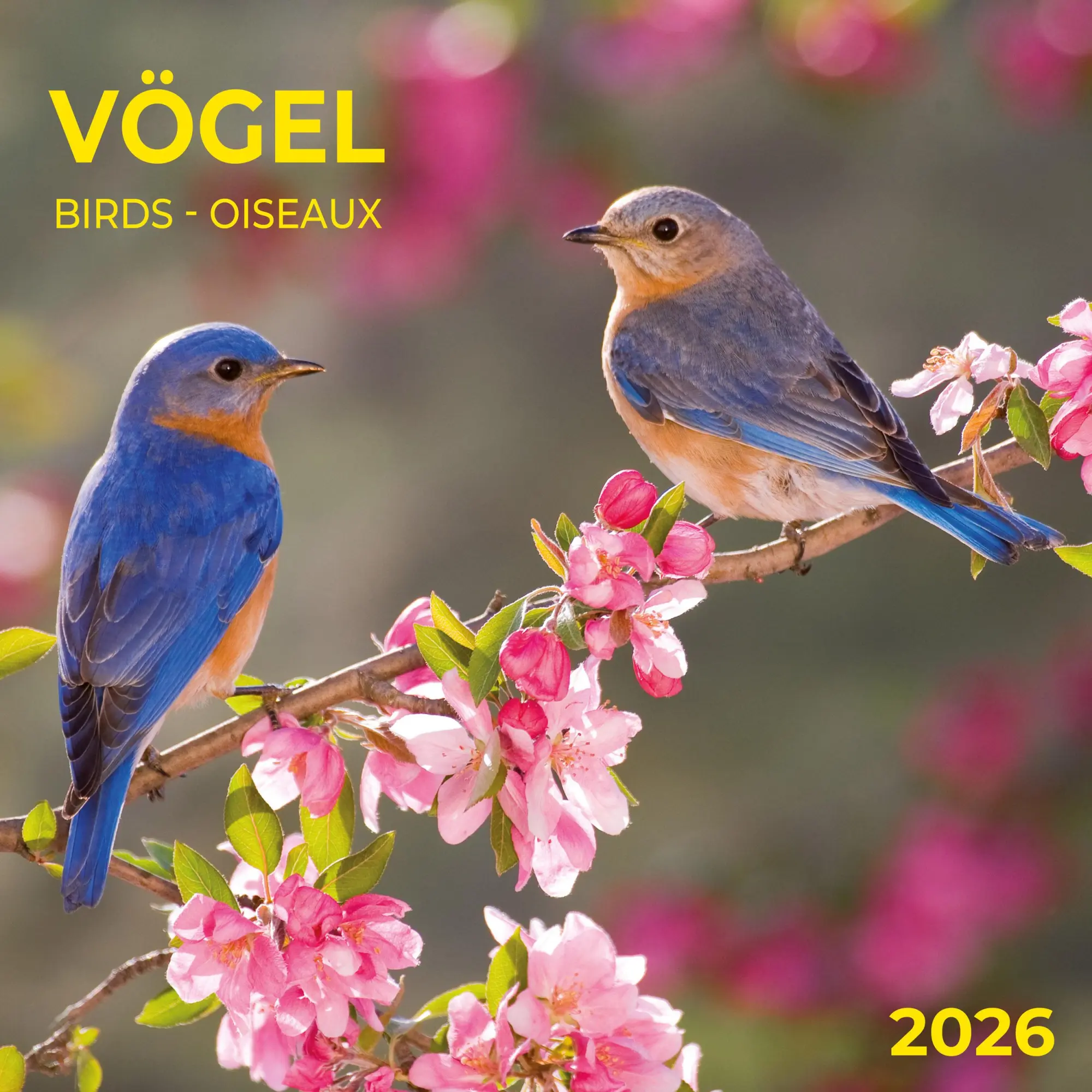 Cover: 9783959296014 | Heimische Vögel 2026 | Kalender 2026 | Kalender | Artwork Edition