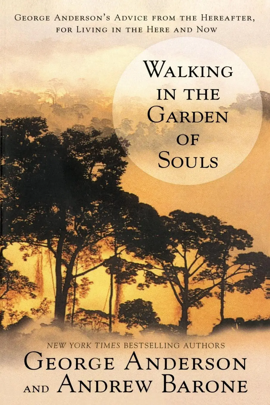 Cover: 9780425186114 | Walking in the Garden of Souls | George Anderson (u. a.) | Taschenbuch