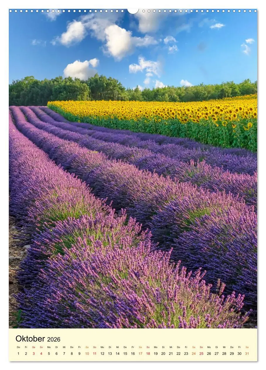 Bild: 9783516346114 | Provence Lavendel Paradies (Wandkalender 2026 DIN A2 hoch),...