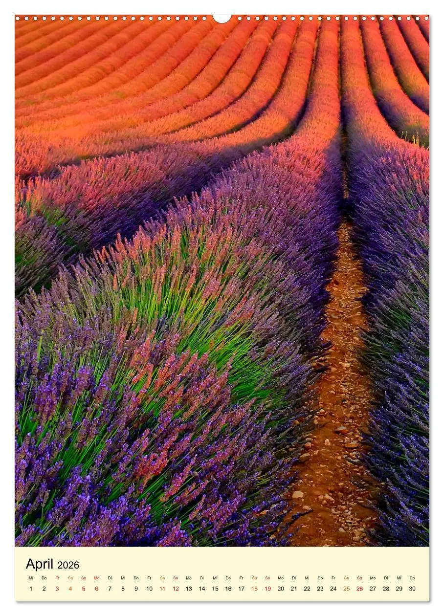 Bild: 9783516346114 | Provence Lavendel Paradies (Wandkalender 2026 DIN A2 hoch),...