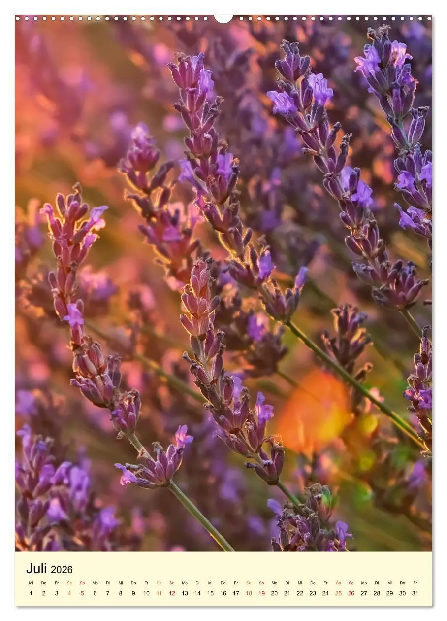 Bild: 9783516346114 | Provence Lavendel Paradies (Wandkalender 2026 DIN A2 hoch),...
