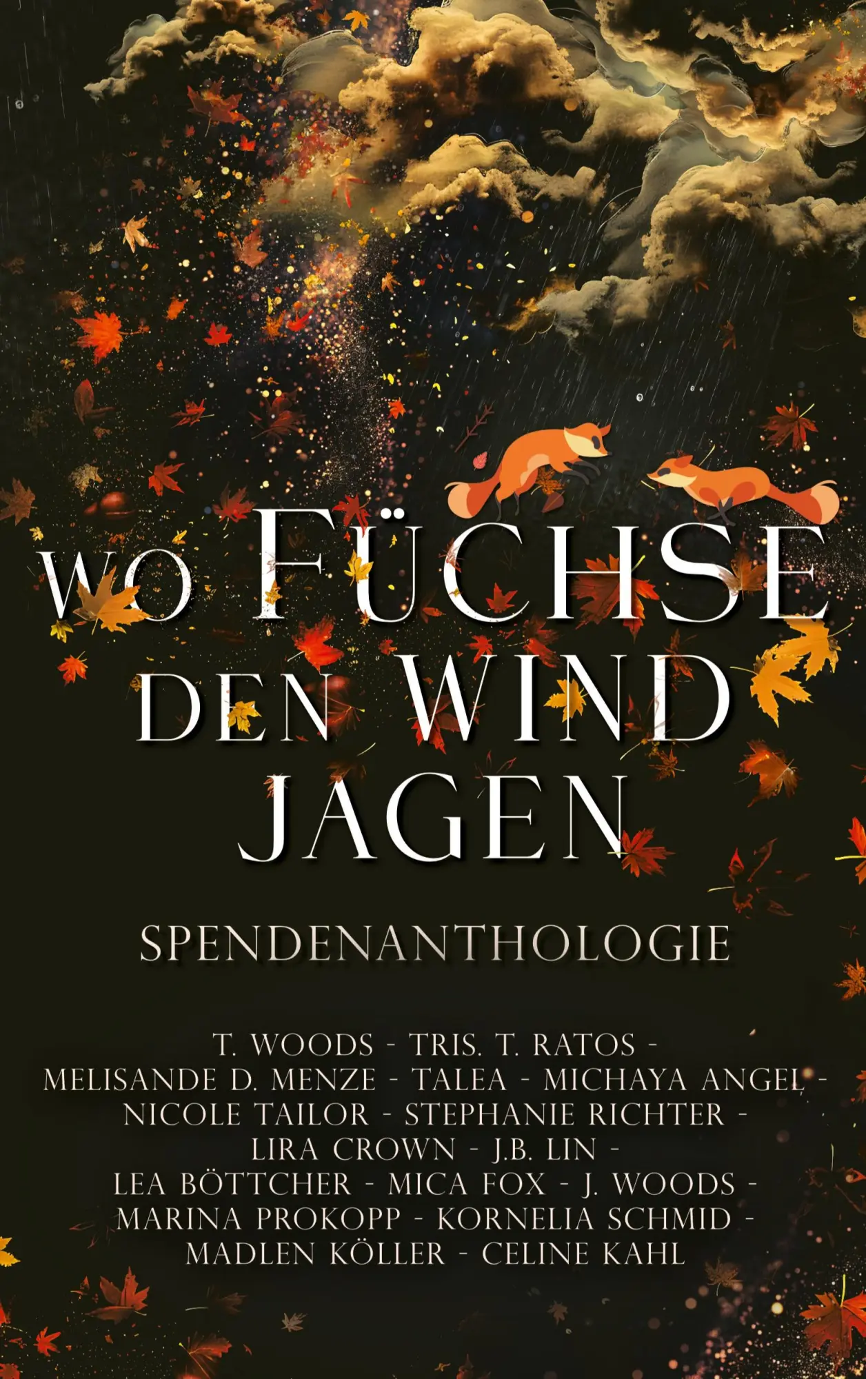 Cover: 9783696396114 | Wo Füchse den Wind jagen | Spendenanthologie | Lea Böttcher (u. a.)