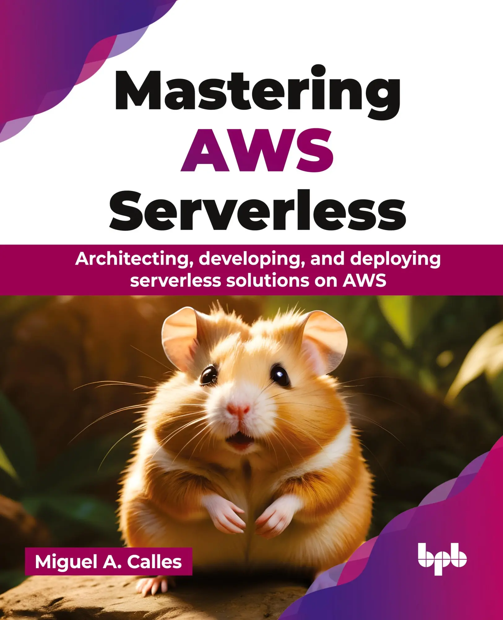 Cover: 9789355516114 | Mastering AWS Serverless | Miguel A. Calles | Taschenbuch | Englisch