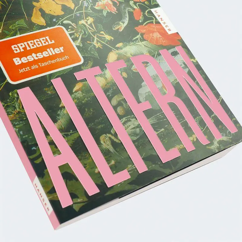Bild: 9783446286214 | Altern | Elke Heidenreich | Taschenbuch | 112 S. | Deutsch | 2026