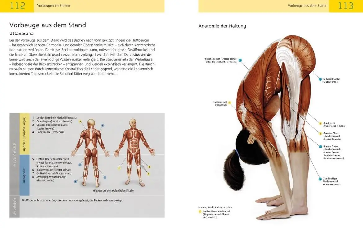 Bild: 9789089986214 | Die Anatomie des Yoga | Sally Parkes | Taschenbuch | 192 S. | Deutsch