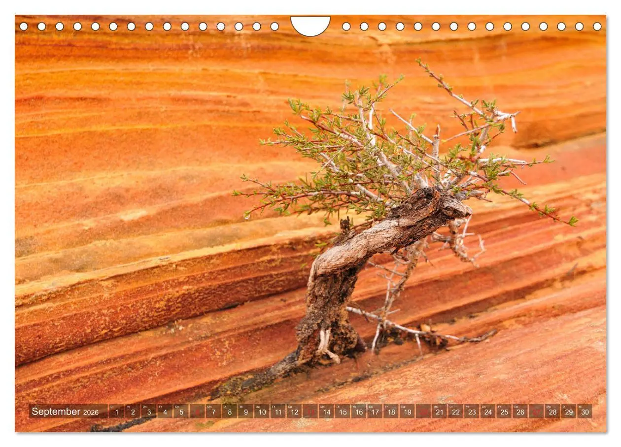 Bild: 9783457926314 | USA Traumziel Südwest (Wandkalender 2026 DIN A4 quer), CALVENDO...