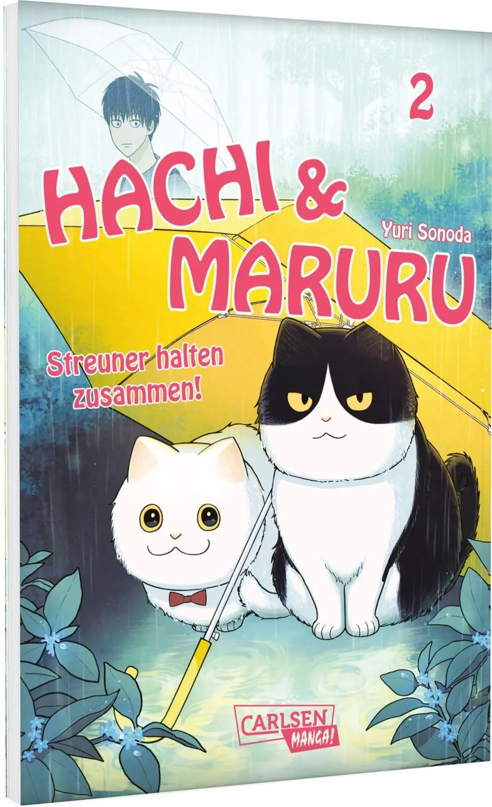Cover: 9783551806314 | Hachi &amp; Maruru - Streuner halten zusammen! 2 | Yuri Sonoda | Buch