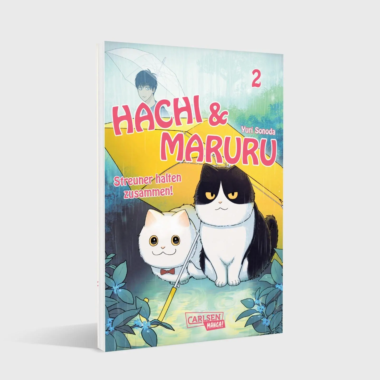 Bild: 9783551806314 | Hachi &amp; Maruru - Streuner halten zusammen! 2 | Yuri Sonoda | Buch