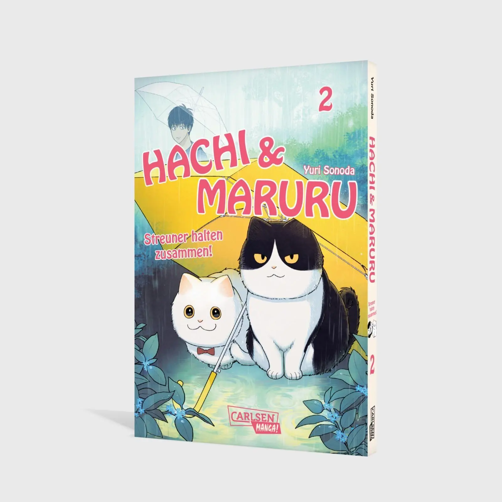 Bild: 9783551806314 | Hachi &amp; Maruru - Streuner halten zusammen! 2 | Yuri Sonoda | Buch