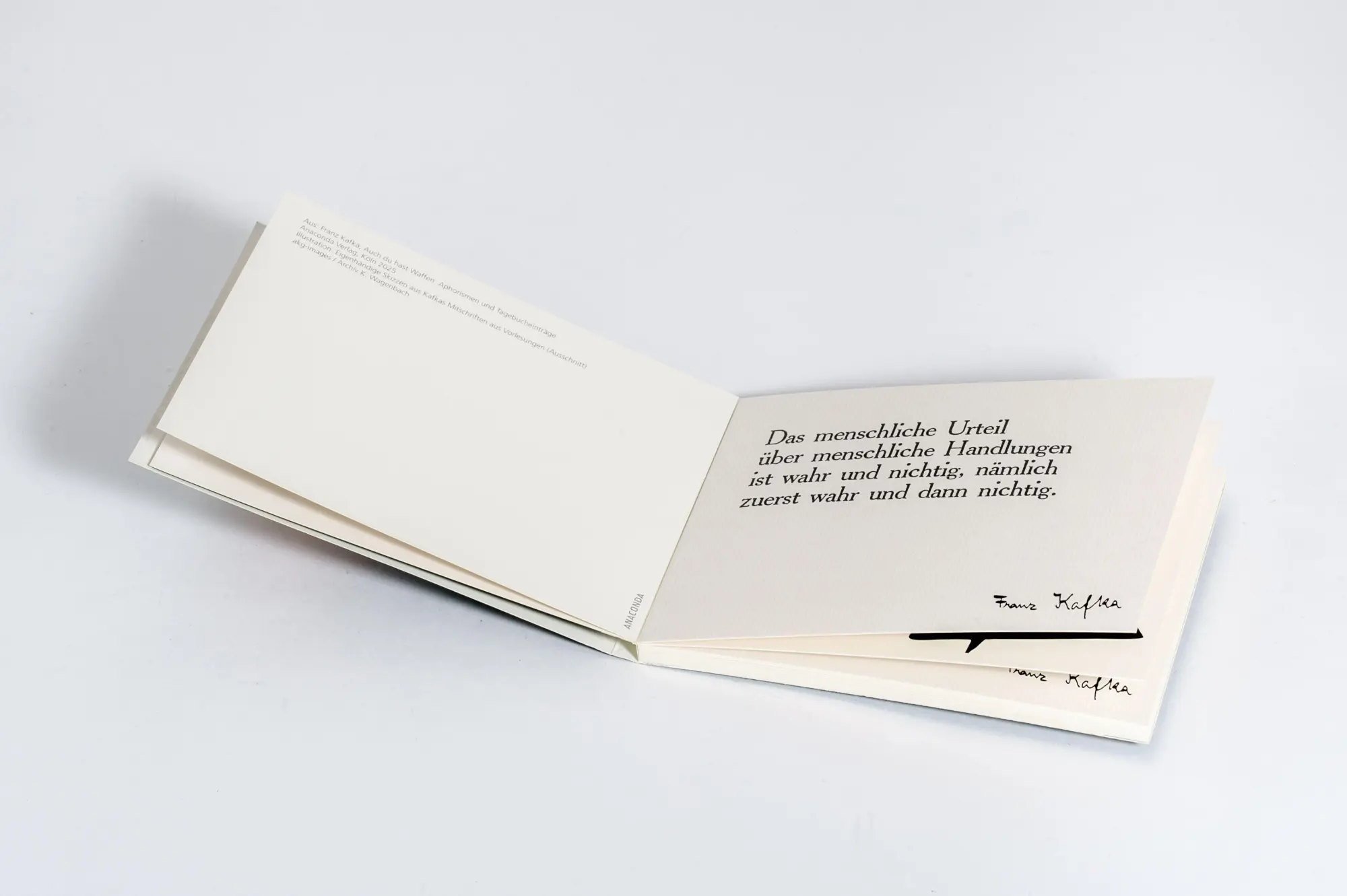 Bild: 9783730616314 | Postkarten-Set Franz Kafka - Die ungeheure Welt, die ich im Kopf habe