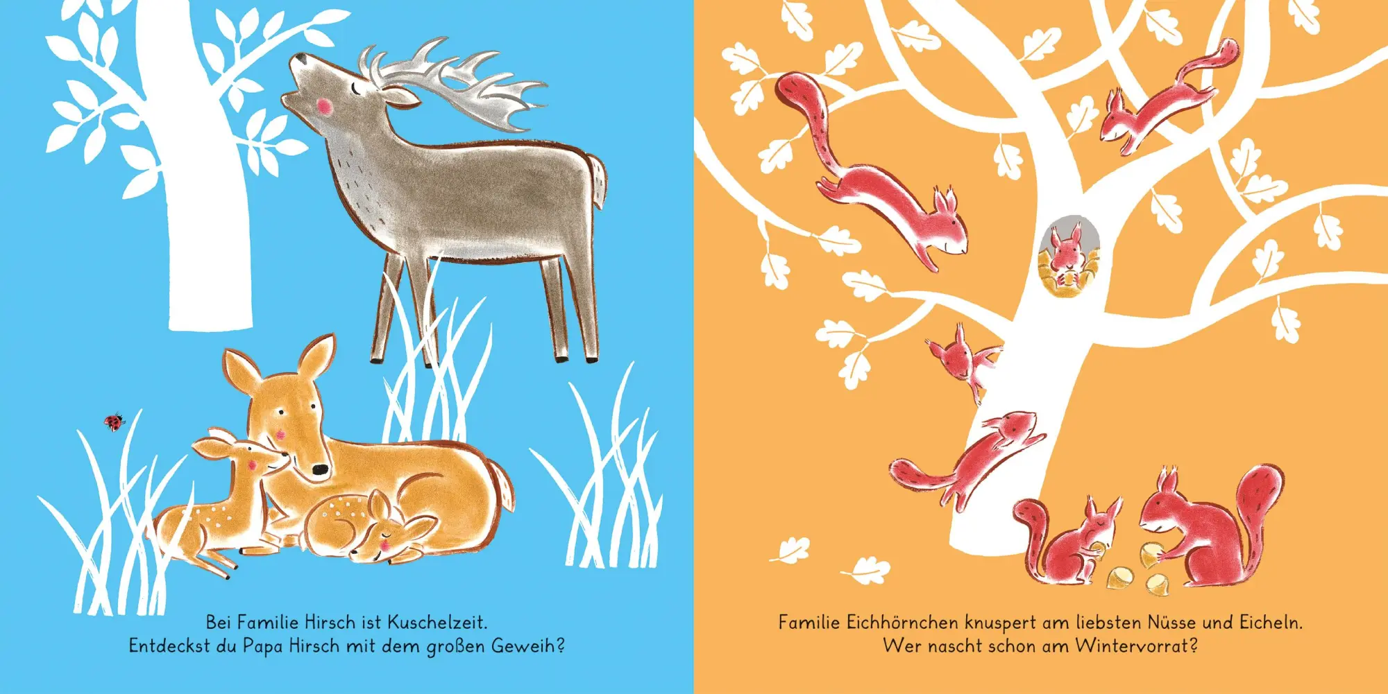 Bild: 9783734816314 | Meine liebsten Tierfreunde | Barbara Nascimbeni | Buch | 24 S. | 2023