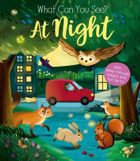 Cover: 9781912756414 | What Can You See At Night? | Kate Ware | Buch | Papp-Bilderbuch | 2020