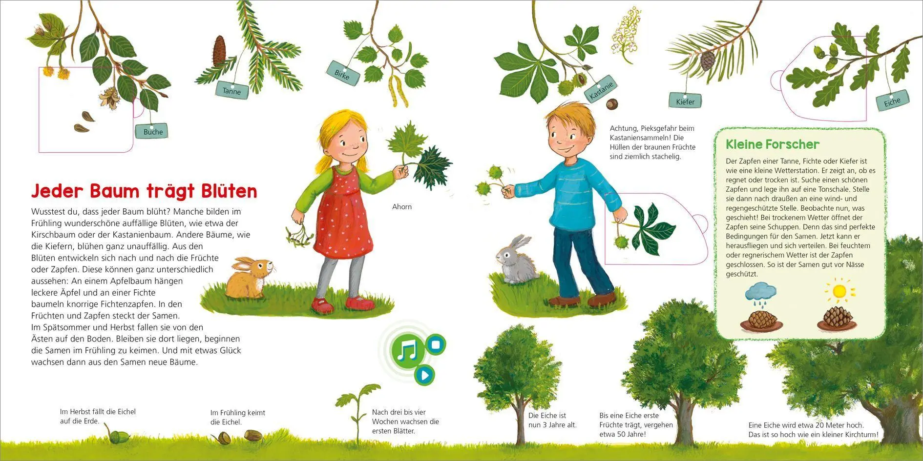 Bild: 9783788676414 | BOOKii WAS IST WAS Kindergarten Entdecke den Wald | Buch | 12 S.
