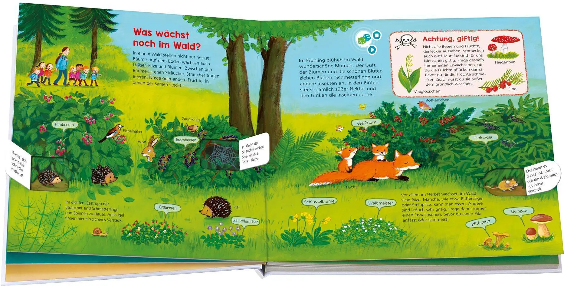 Bild: 9783788676414 | BOOKii WAS IST WAS Kindergarten Entdecke den Wald | Buch | 12 S.
