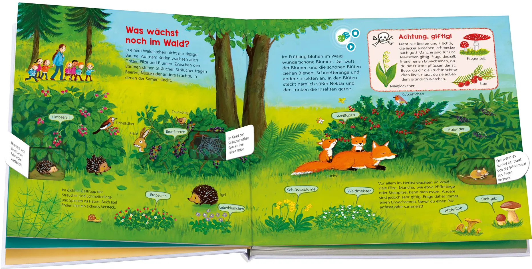 Bild: 9783788676414 | Was ist was Kindergarten: Entdecke den Wald | Weller-Essers (u. a.)
