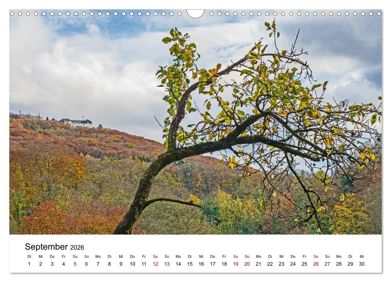 Bild: 9783457906514 | Höhepunkte des Siebengebirges (Wandkalender 2026 DIN A3 quer),...