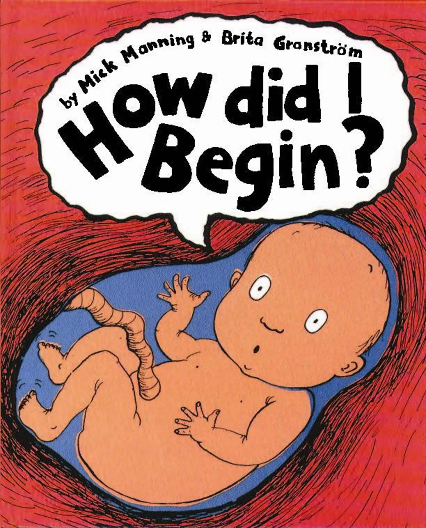 Cover: 9780749656614 | How Did I Begin? | Mick Manning | Taschenbuch | Englisch | 2004