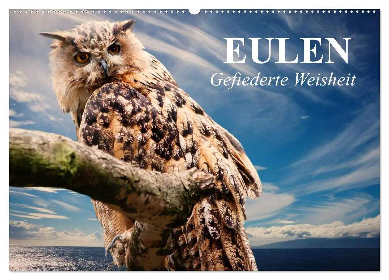 Cover: 9783457996614 | Eulen. Gefiederte Weisheit (Wandkalender 2026 DIN A2 quer),...
