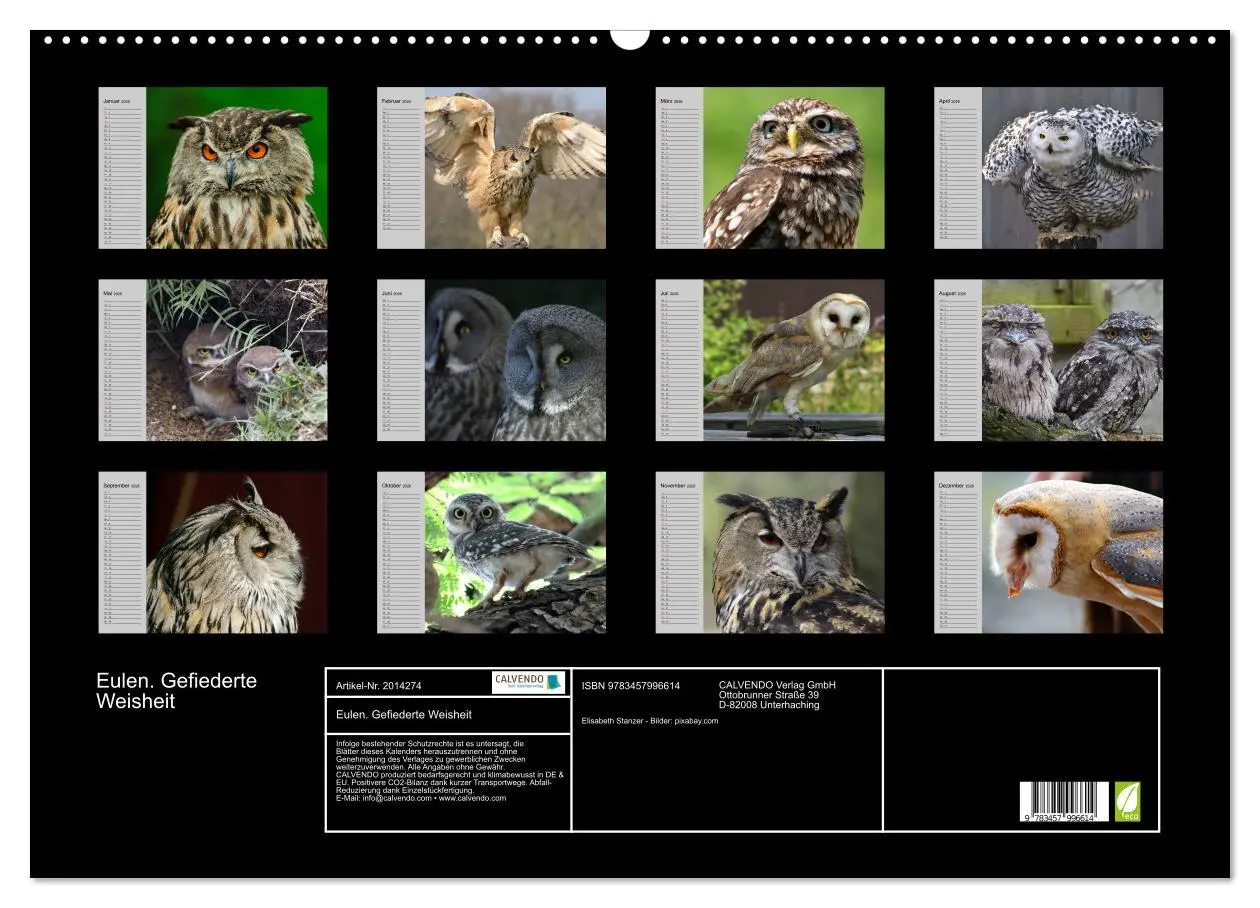 Bild: 9783457996614 | Eulen. Gefiederte Weisheit (Wandkalender 2026 DIN A2 quer),...