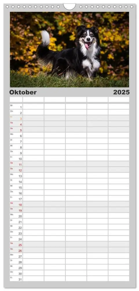 Bild: 9783457116814 | Familienplaner 2025 - Australian Shepherd - Traum auf vier Pfoten...