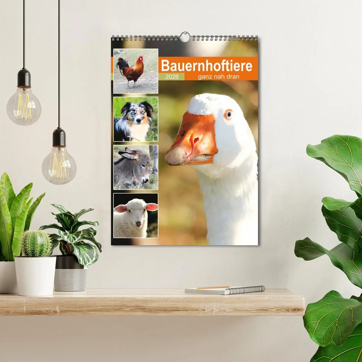 Bild: 9783516366914 | Bauernhoftiere, ganz nah dran (Wandkalender 2026 DIN A3 hoch),...