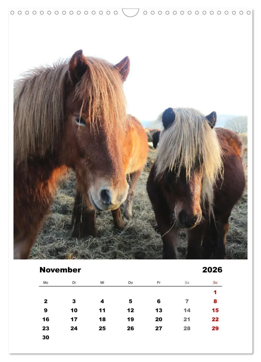 Bild: 9783516366914 | Bauernhoftiere, ganz nah dran (Wandkalender 2026 DIN A3 hoch),...