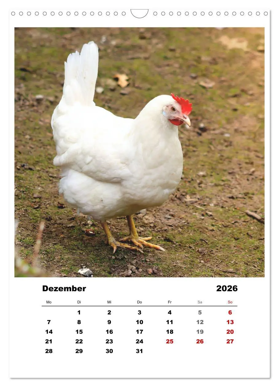 Bild: 9783516366914 | Bauernhoftiere, ganz nah dran (Wandkalender 2026 DIN A3 hoch),...