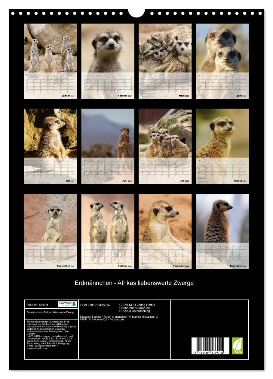 Bild: 9783516436914 | Erdmännchen - Afrikas liebenswerte Zwerge (Wandkalender 2026 DIN A3...