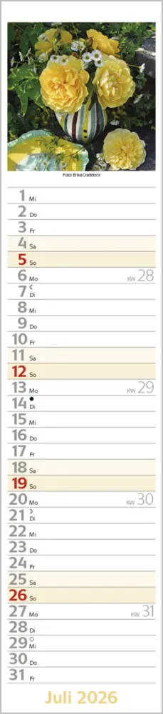 Bild: 9783731886914 | Flowers Langplaner 2026 | Langplaner | Verlag Korsch | Kalender | 2026