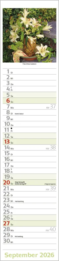 Bild: 9783731886914 | Flowers Langplaner 2026 | Langplaner | Verlag Korsch | Kalender | 2026