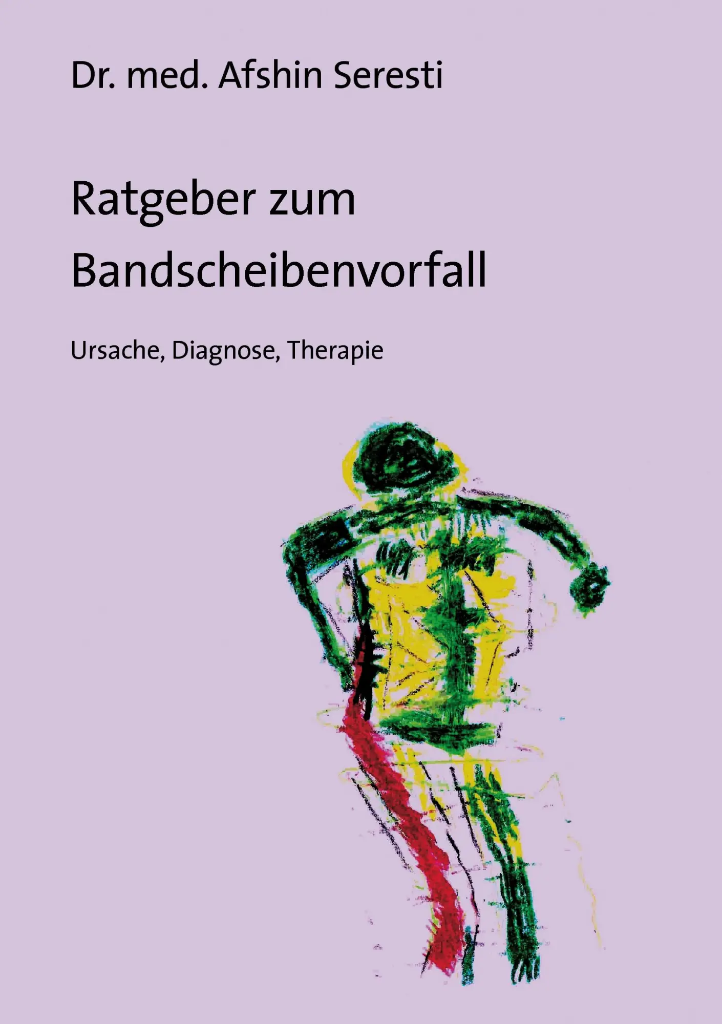 Cover: 9783738676914 | Ratgeber zum Bandscheibenvorfall | Ursache, Diagnose, Therapie | Buch
