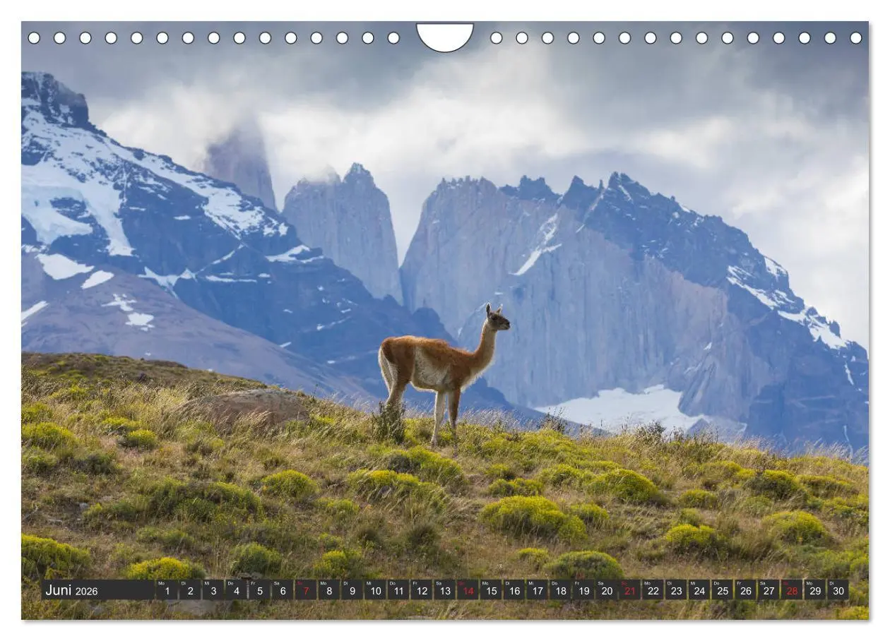 Bild: 9783457787014 | Traumwelt Chile (Wandkalender 2026 DIN A4 quer), CALVENDO...