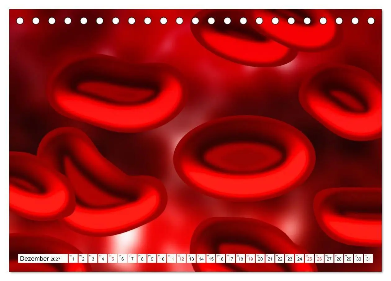 Bild: 9783569897014 | Mikrobiologie. Mikroorganismen, Genetik und Zellen (Tischkalender...